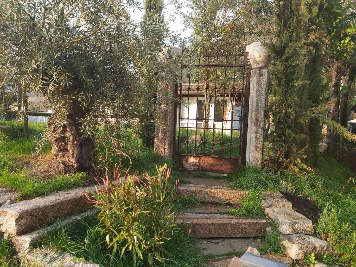 Purasca Romantico Palazzo Dei Ulivi מראה חיצוני תמונה